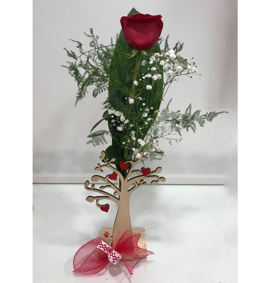 Corazon con alas