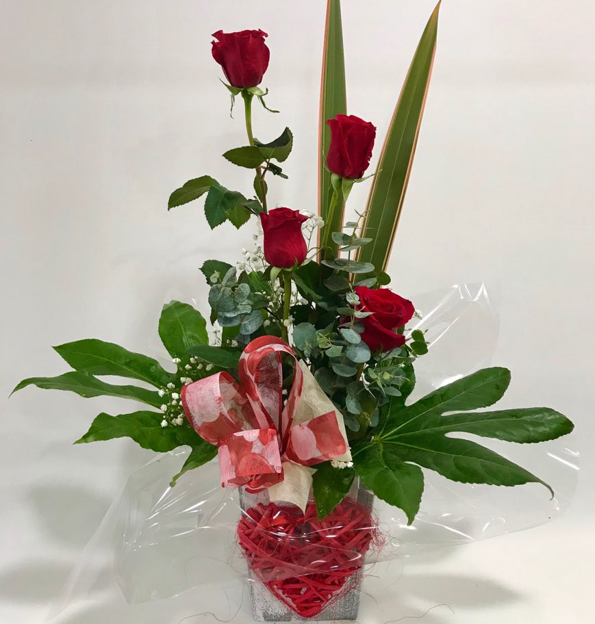 Corazón miembre